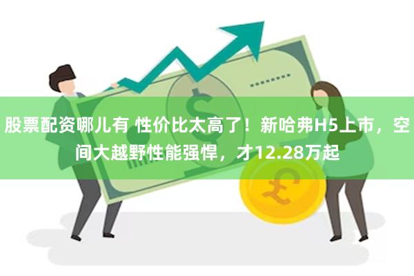 股票配资哪儿有 性价比太高了！新哈弗H5上市，空间大越野性能强悍，才12.28万起