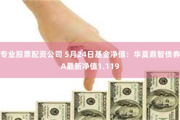 专业股票配资公司 5月24日基金净值：华夏鼎智债券A最新净值1.119