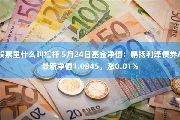 股票里什么叫杠杆 5月24日基金净值：鹏扬利泽债券A最新净值1.0845，涨0.01%