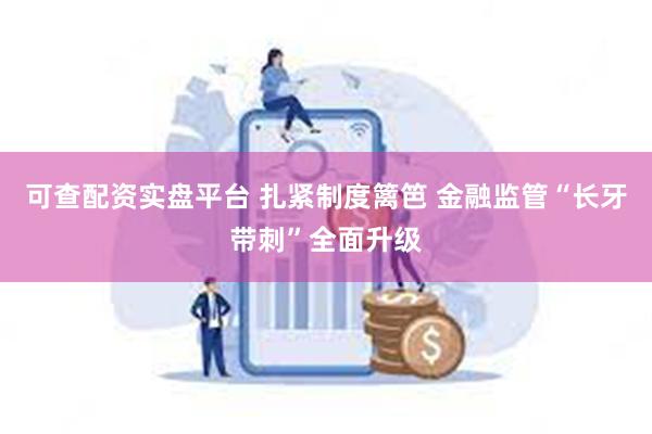 可查配资实盘平台 扎紧制度篱笆 金融监管“长牙带刺”全面升级