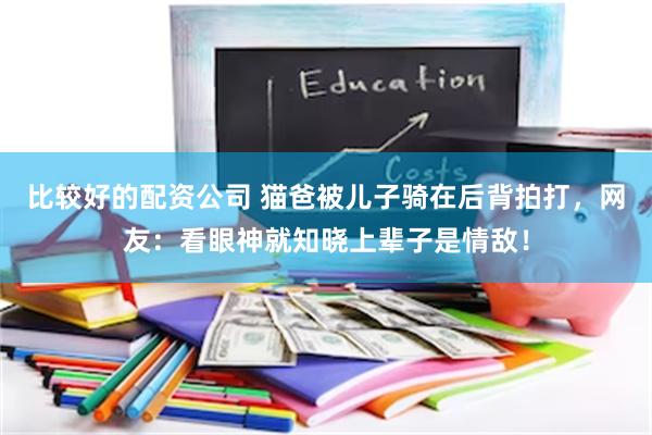 比较好的配资公司 猫爸被儿子骑在后背拍打，网友：看眼神就知晓上辈子是情敌！