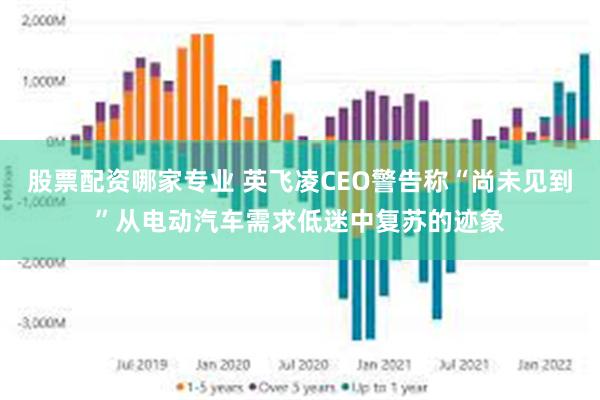 股票配资哪家专业 英飞凌CEO警告称“尚未见到”从电动汽车需求低迷中复苏的迹象