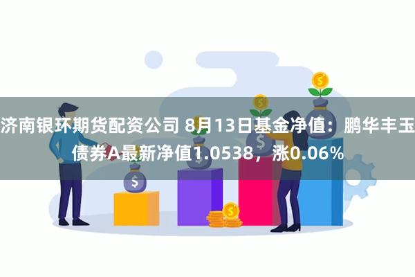 济南银环期货配资公司 8月13日基金净值：鹏华丰玉债券A最新净值1.0538，涨0.06%