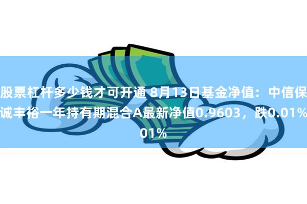 股票杠杆多少钱才可开通 8月13日基金净值：中信保诚丰裕一年持有期混合A最新净值0.9603，跌0.01%