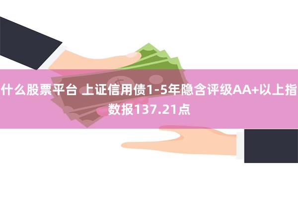 什么股票平台 上证信用债1-5年隐含评级AA+以上指数报137.21点