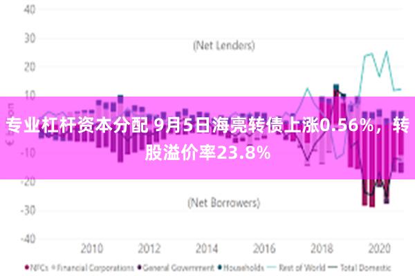 专业杠杆资本分配 9月5日海亮转债上涨0.56%，转股溢价率23.8%