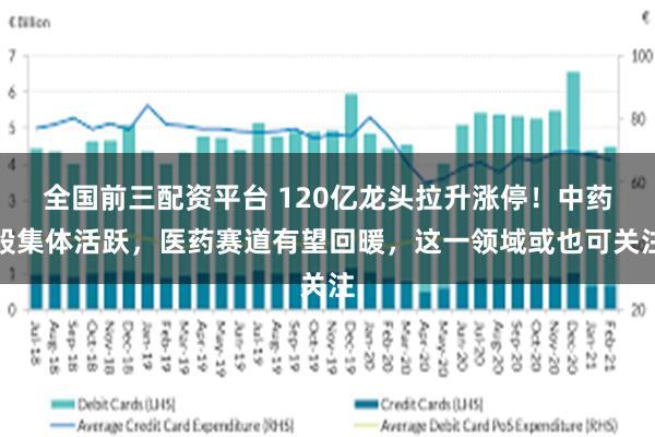 全国前三配资平台 120亿龙头拉升涨停！中药股集体活跃，医药赛道有望回暖，这一领域或也可关注