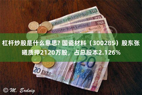 杠杆炒股是什么意思? 国瓷材料（300285）股东张曦质押2120万股，占总股本2.126%