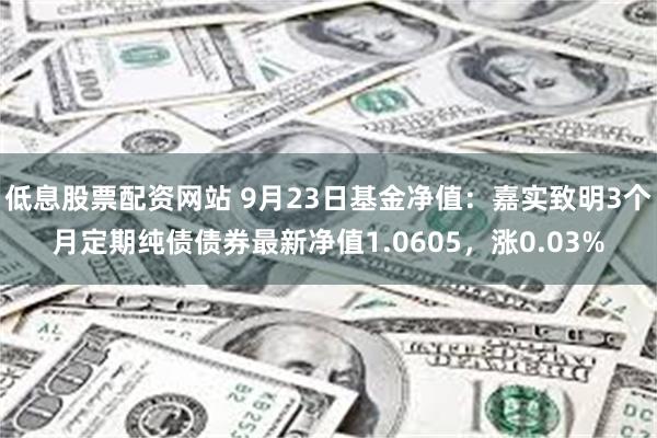 低息股票配资网站 9月23日基金净值：嘉实致明3个月定期纯债债券最新净值1.0605，涨0.03%