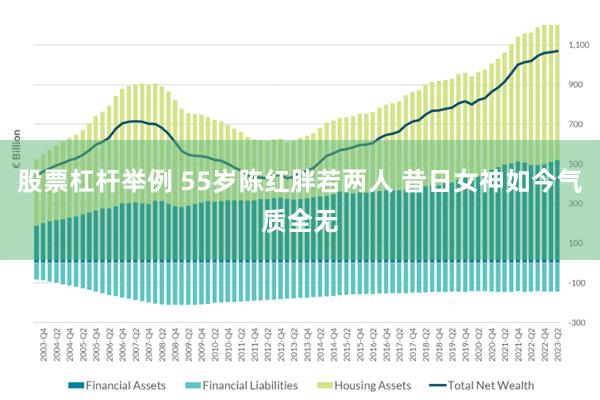 股票杠杆举例 55岁陈红胖若两人 昔日女神如今气质全无