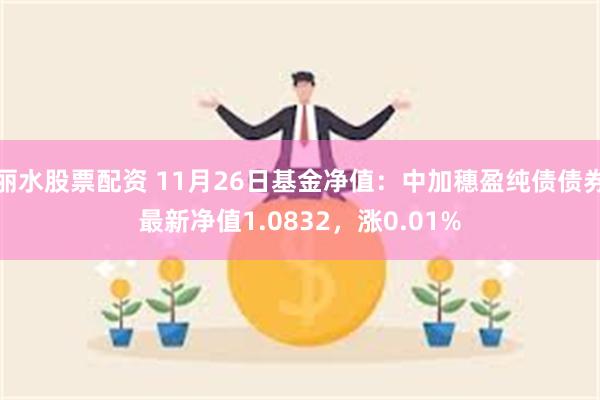 丽水股票配资 11月26日基金净值：中加穗盈纯债债券最新净值1.0832，涨0.01%